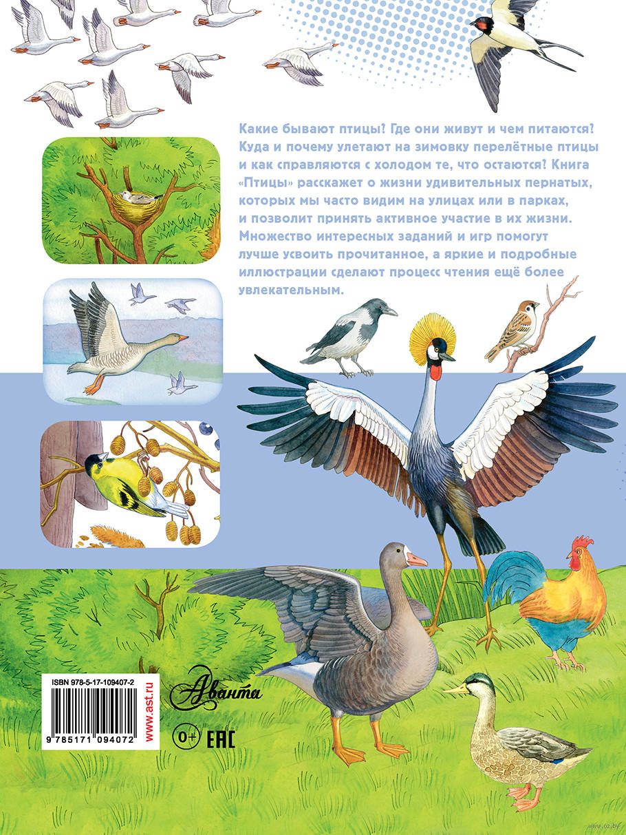 Какие бывают птички. Книги о птицах. Перелетные птицы. Книги о птицах для детей. Наблюдаем и изучаем. Птицы.