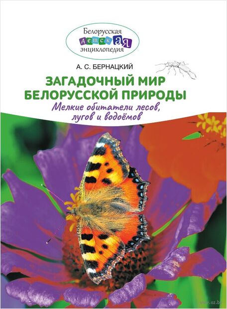 Загадочный мир белорусской природы. Мелкие обитатели лесов, лугов и водоемов — фото, картинка