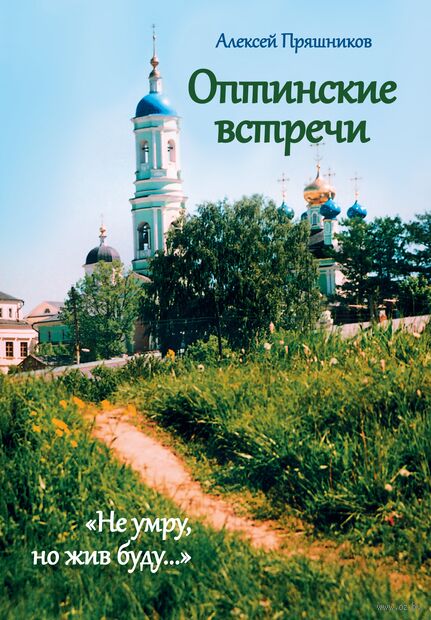 Оптинские встречи. "Не умру, но жив буду..." — фото, картинка