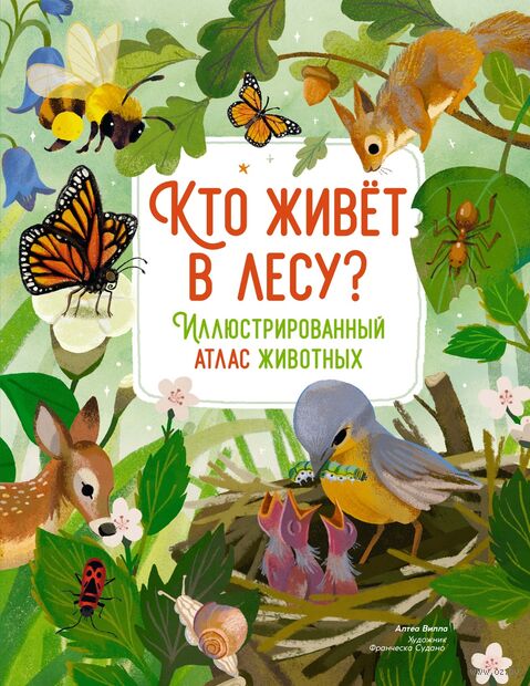 Кто живёт в лесу? Иллюстрированный атлас животных — фото, картинка