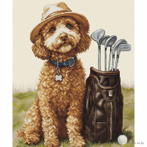 Набор для вышивания "Мастер игры в гольф" (260х310 мм) — фото, картинка