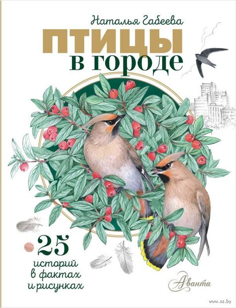 Птицы в городе. 25 историй в фактах и рисунках — фото, картинка