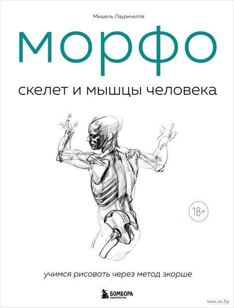 МОРФО. Скелет и мышцы человека. Анатомия для художников — фото, картинка