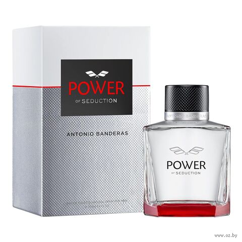 Туалетная вода для мужчин "Power of Seduction" (100 мл) — фото, картинка