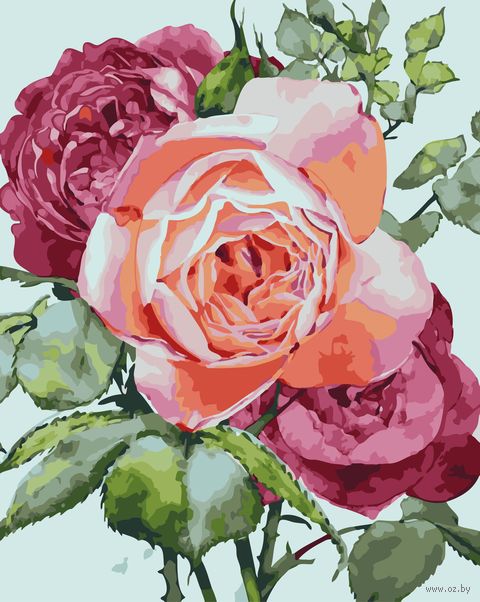 Картина по номерам "Садовые розы" (400х500 мм) — фото, картинка