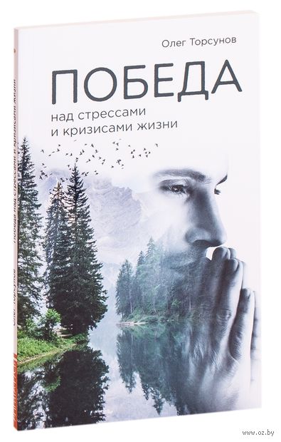 Победа над стрессами и кризисами жизни — фото, картинка