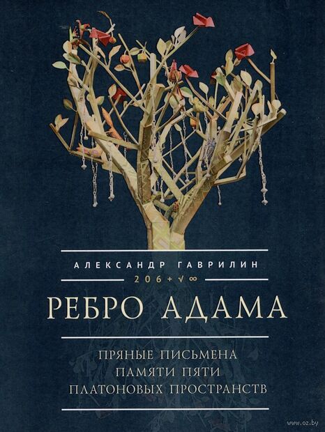 Ребро Адама. Пряные письмена памяти пяти Платоновых пространств — фото, картинка
